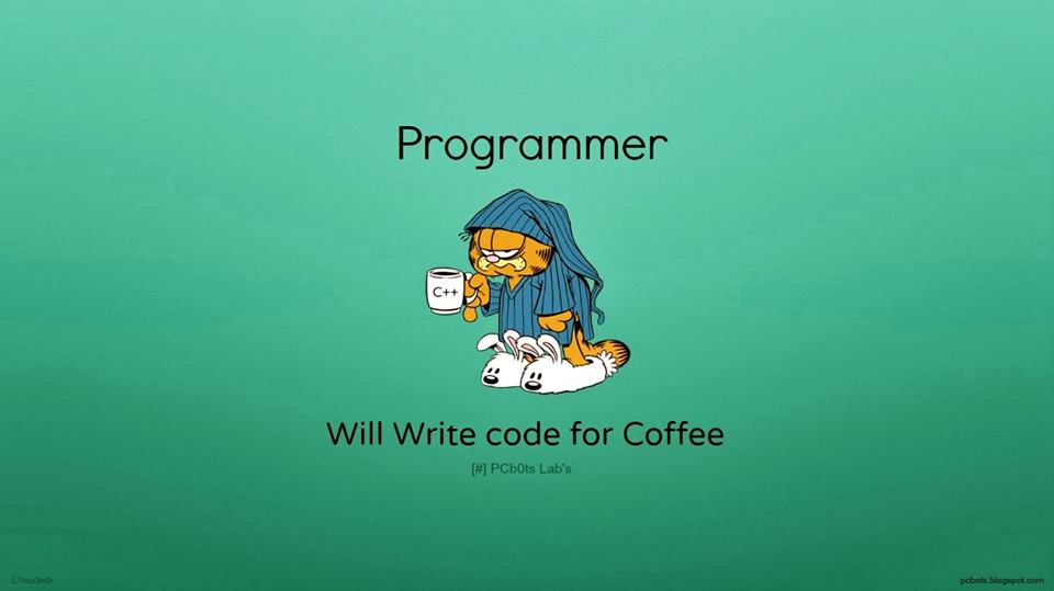 programmer will write code for