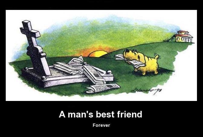 a man's best friend