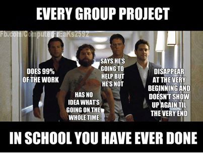 every group project