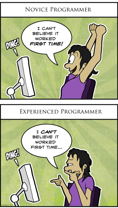experienced programmer