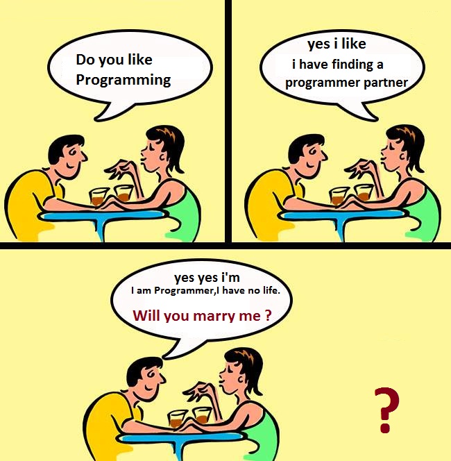 i have finding a  programmer partner