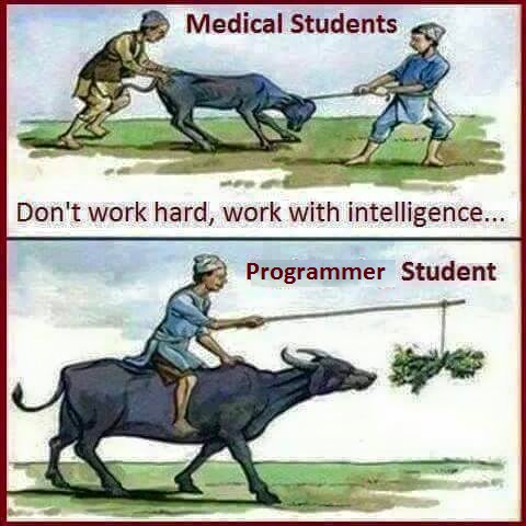 Medical VS Programming student 