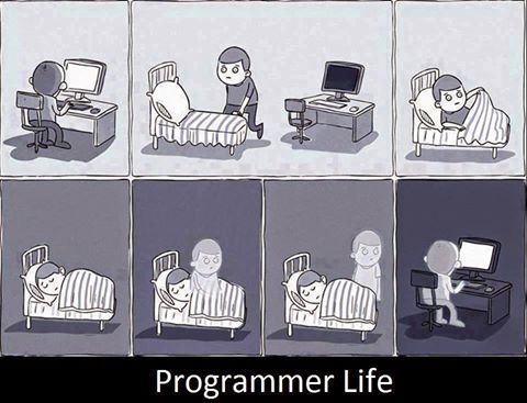 programmer life