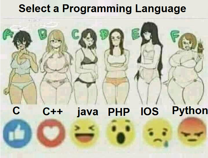 Select a programming language 