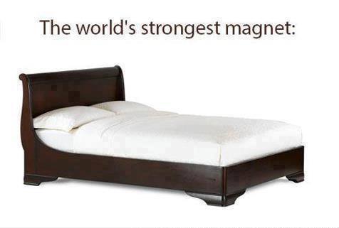 the world strongest magnet