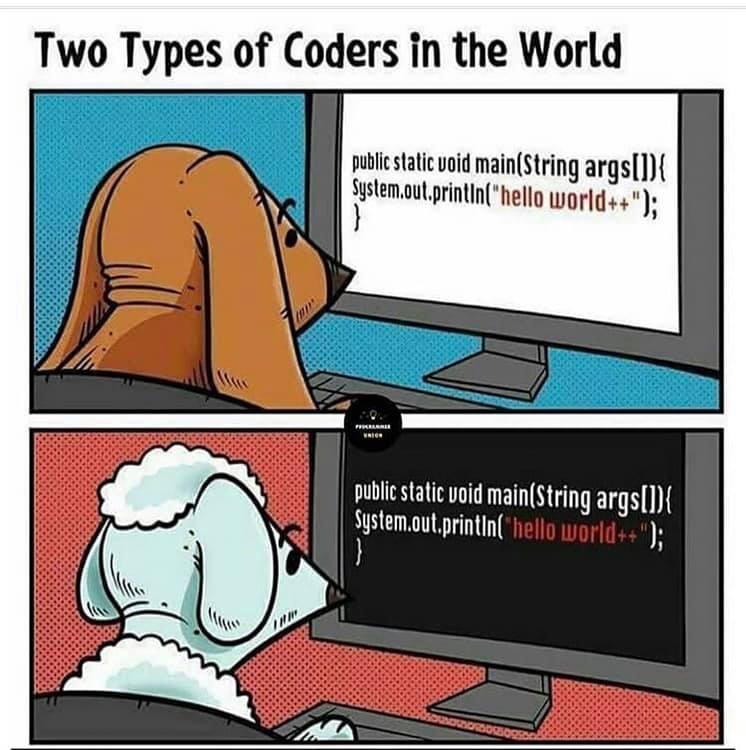 Two types of coders in the world