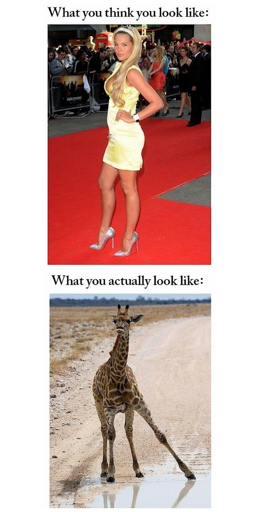 What you Think and what you actually look like