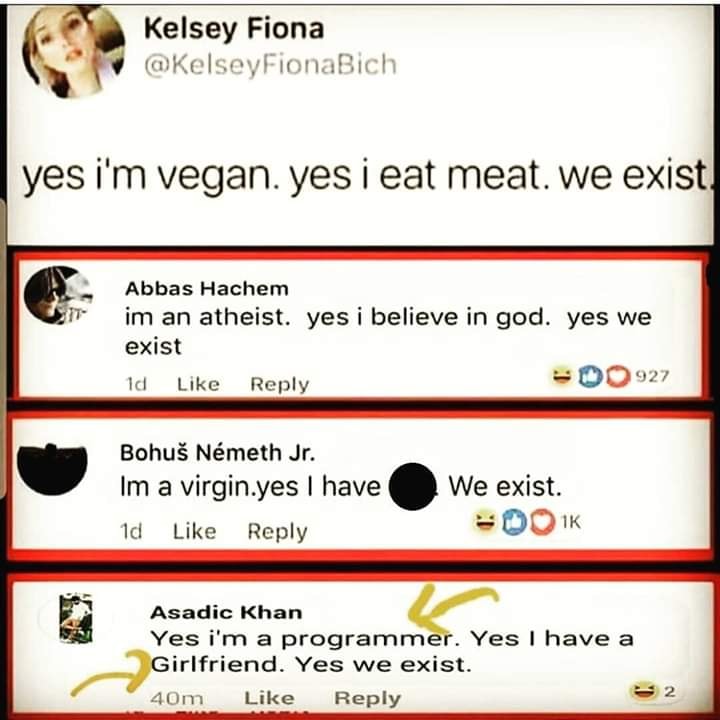 yes i'm a programmer yes i have a girlfriend yes we exist
